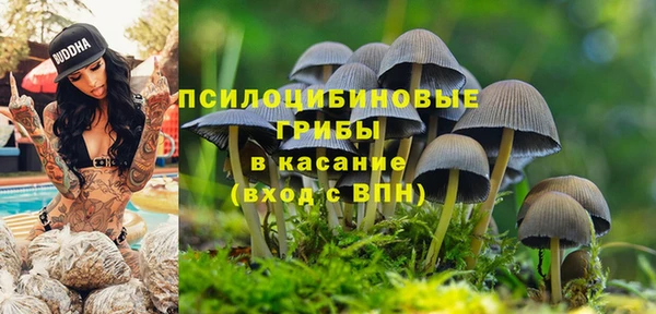 мескалин Медногорск