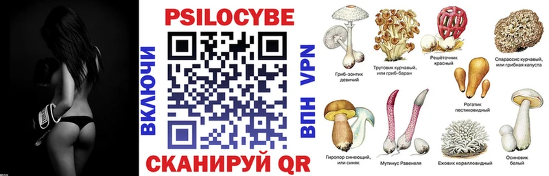 цены   Дубна  Псилоцибиновые грибы прущие грибы 