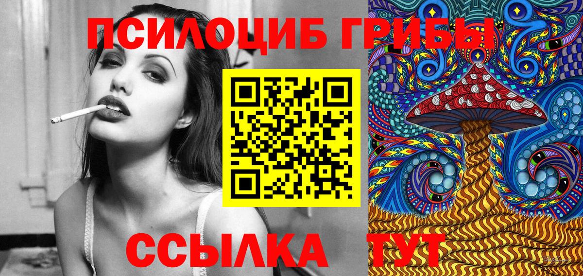 как найти   Дубна  Псилоцибиновые грибы ЛСД 