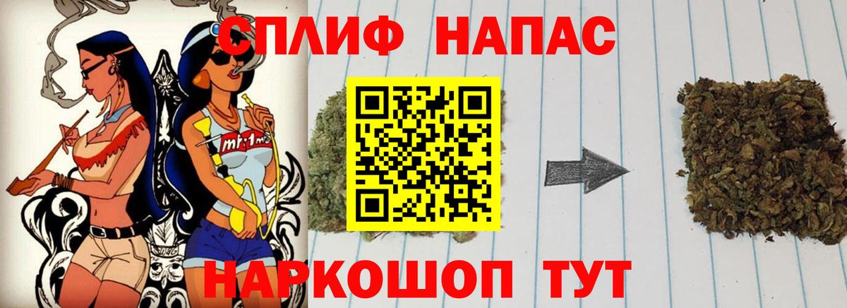 Бошки Шишки конопля Дубна