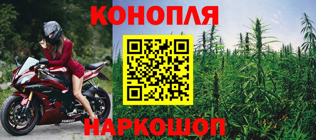 Конопля Дубна